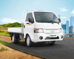 tera180-teraco-hung-vuong-lam-dong
